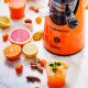 Шнековая Соковыжималка ZEPTER MOREJUICEPRESS Frozen Desserts Шнековая Соковыжималка ZEPTER MOREJUICEPRESS Frozen Desserts